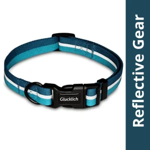 Glucklich Everyday Reflective Collar for Dogs (Sea Green)