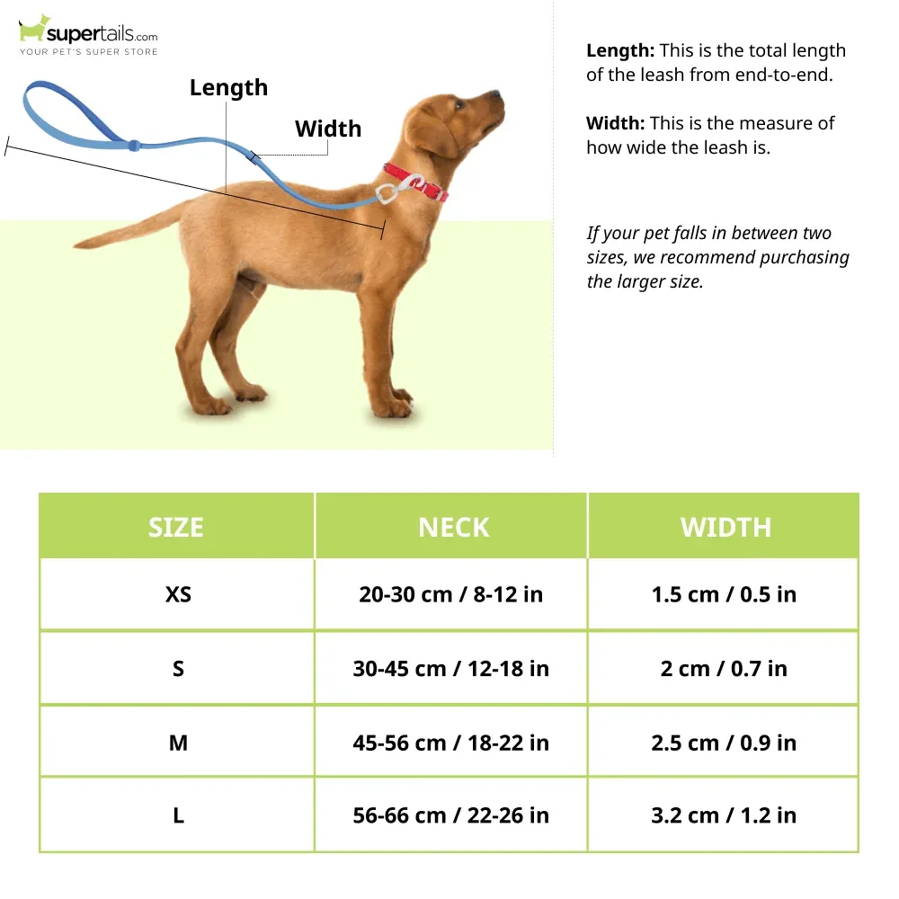 Glucklich Everyday Reflective Collar for Dogs (Space Grey) - Image 2