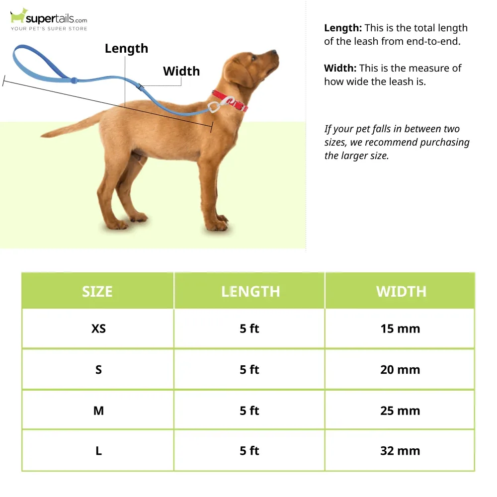Glucklich Heavy Duty Printed Leash for Dogs (5ft Royal Blue) - Image 2