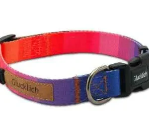Glucklich Polyester Printed Adjustable Collar for Dogs (Dark Night)