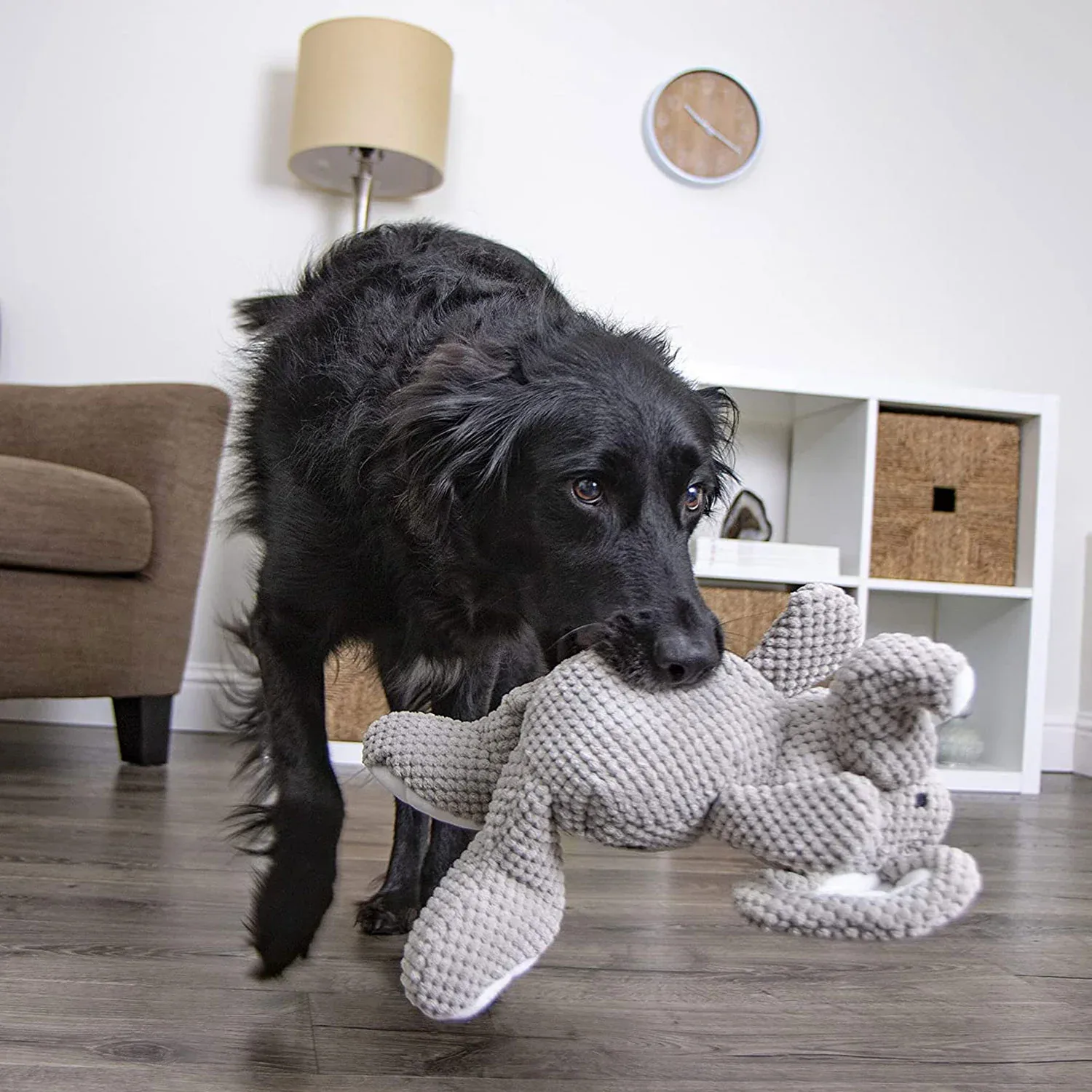 GoDog's Elsa the Elephant with Chewguard - Image 2