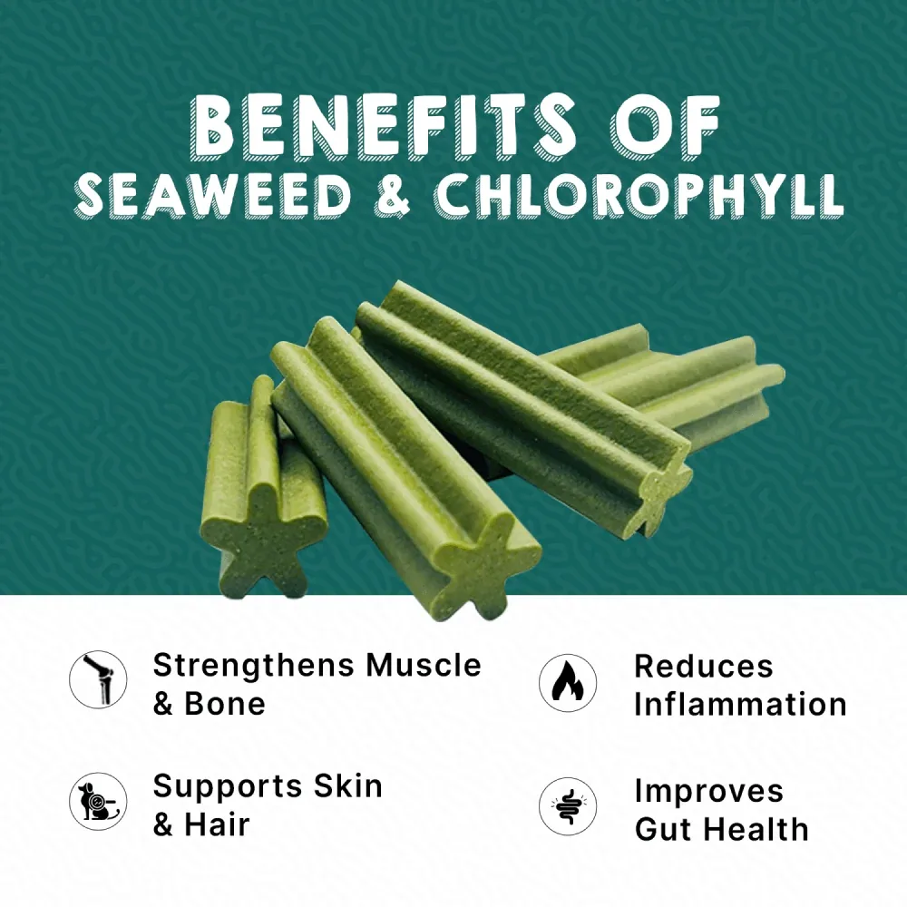 Goofy Tails Seaweed Active Dental Twists Dog Treats - Image 2
