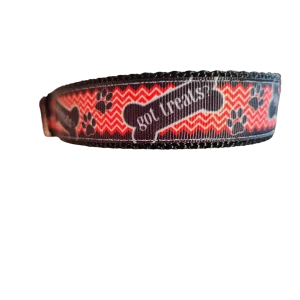 Got Treats? Nylon Dog Collar