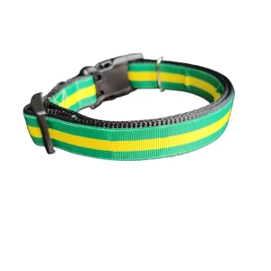 Green And Gold Nylon Dog Collar