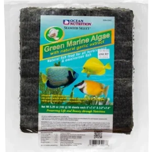 Green Marine Algae "Seaweed" Bulk