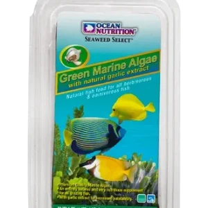 Green Marine Algae "Seaweed" Lg