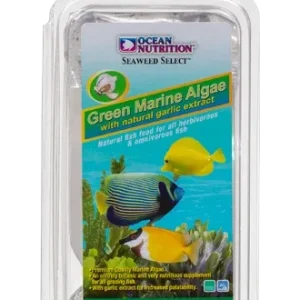 Green Marine Algae "Seaweed" Sm