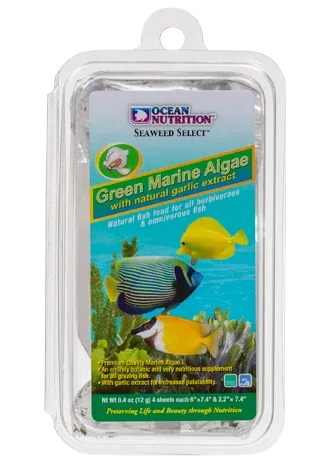Green Marine Algae "Seaweed" Sm