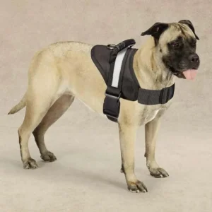 Guardian Gear Excursion Harnesses 36-46 in