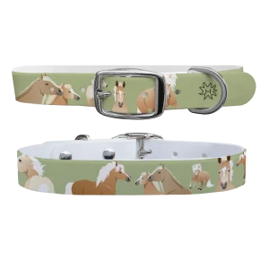 Haflinger Dog Collar
