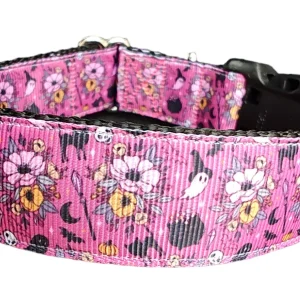 Halloween Floral Witch Nylon Dog Collar