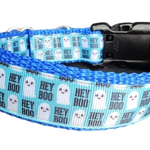Halloween Hey BOO! Nylon Dog Collar