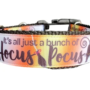 Halloween Hocus Pocus Nylon Dog Collar