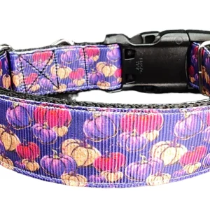Halloween Purple Pumpkin Patch Nylon Dog Collar