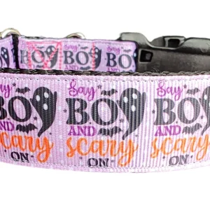 Halloween Say BOO Nylon Dog Collar
