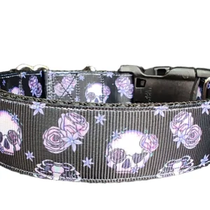 Halloween Skeleton Nylon Dog Collar