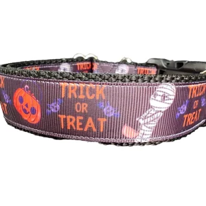 Halloween Trick Or Treat Nylon Dog Collar