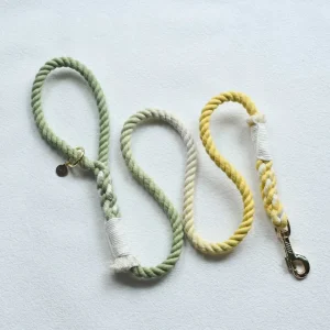 Hands-Free Dog Rope Dog Leash - Lime Lemonade