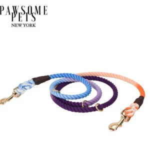 Hands-Free Dog Rope Dog Leash - Oceanside Rainbow
