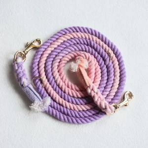 Hands-Free Dog Rope Dog Leash - Rosy Garden