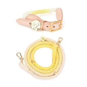 Hands-Free Rope Dog Leash and Luxe Royal Leather Dog Collar Bundle, Lemon Squeeze