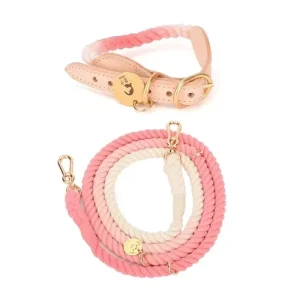 Hands-Free Rope Dog Leash and Luxe Royal Leather Dog Collar Bundle, Strawberry Love