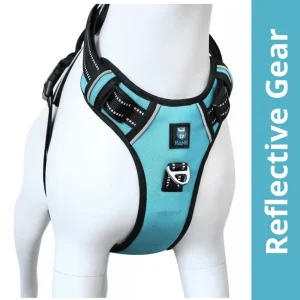 Hank 3M Reflective Harness for Puller Dogs (Cyan Blue)
