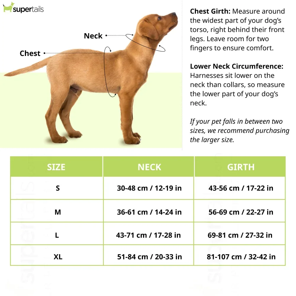 Hank 3M Reflective Harness for Puller Dogs (Grey) - Image 2