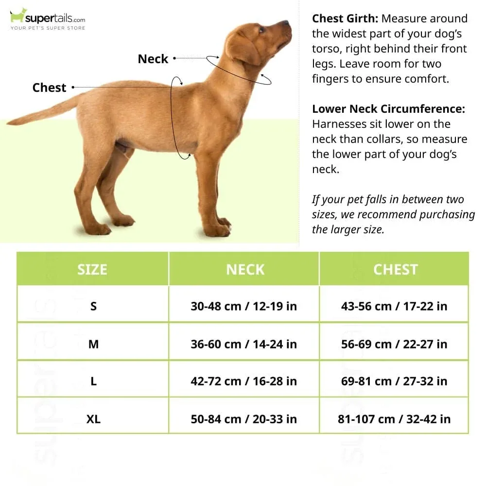 Hank 3M Reflective Harness for Puller Dogs (Red) - Image 2