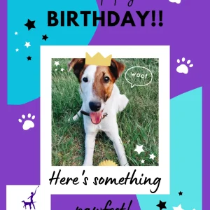 Happy Birthday Gift Card From Doot's!!