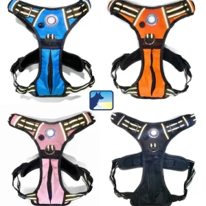 Headlight Harness LED Dog Harness with Built-in Light - X-Small to XX-Large