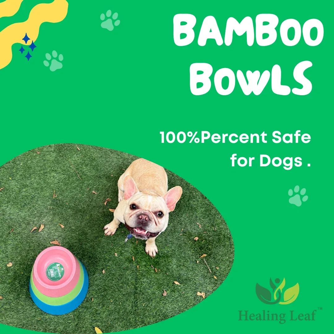 Healing Leaf Eco Friendly Cartoon Bamboo Bowl for Dogs and Cats (Purple) - Image 2