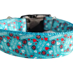 Heartbreaker Nylon Dog Collar