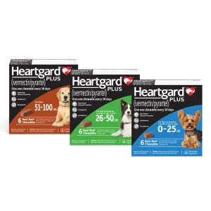 HEARTGARD® Plus (ivermectin/pyrantel) Real-Beef Chewables for Dogs - 51 -100 lbs (Brown Box) 6 Month Supply of Chews (Heartworm Disease Preventive)
