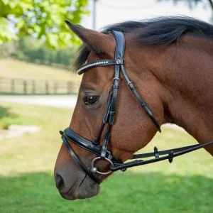 Henri de Rivel Diamonte Dressage Bridle