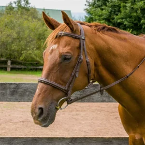 Henri de Rivel Kushy Raised Fancy Stitched Bridle - Padded Comfort Bridle with Laced Reins