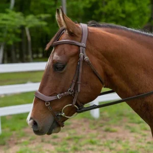 Henri de Rivel Pro Anatomical Bridle, Australian Nut, Oversize