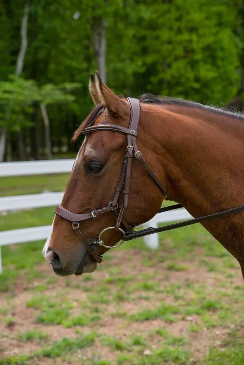 Henri de Rivel Pro Anatomical Bridle, Australian Nut, Oversize