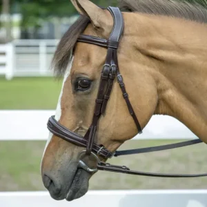 Henri de Rivel Pro Mono-Crown Padded Wide Noseband Bridle