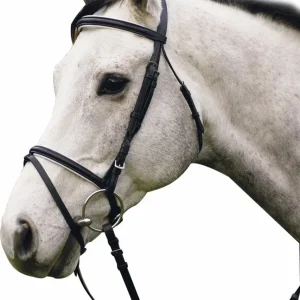 Henri de Rivel Pro Padded Dressage Bridle with Flash and Web Reins - Black/White - Oversize