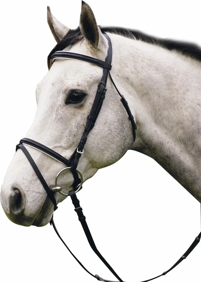 Henri de Rivel Pro Padded Dressage Bridle with Flash and Web Reins - Black/White - Oversize