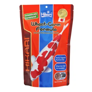 Hikari USA WheatGerm Floating Pellet Fish Food for Koi, Goldfish and Other Pond Fishes, 17.6 oz, Medium