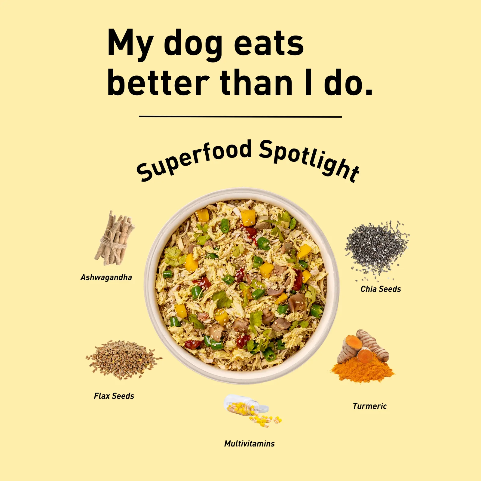 Homiee & Ginger Power Bowl Chicken & Quinoa Fresh Food for Dogs - Image 2