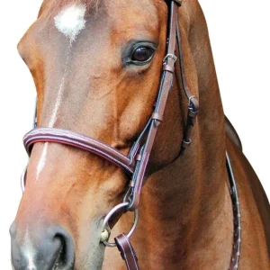 Horse Bridle - Henri de Rivel Pro Fancy Raised Comfort Crown Padded Bridle with Fancy Raised Reins