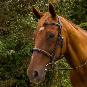 Horse Bridle - Henri de Rivel Pro Mono Crown Fancy Stitched Padded Bridle with Laced Reins