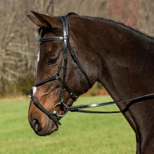 Horse Bridle - Henri de Rivel Pro Mono Crown Raised Figure Eight Bridle with Rubber Reins