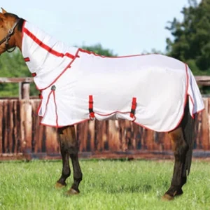 Horse Fly Sheet - TuffRider Power Mesh Detachable Neck Fly Protection Blanket