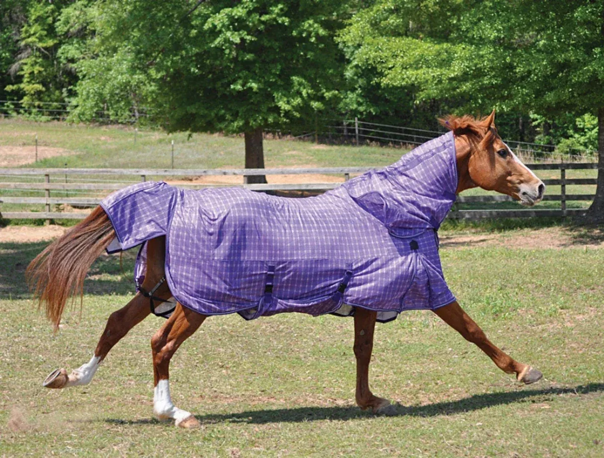 Horse Fly Sheet - TuffRider Power Mesh Detachable Neck Plaid Fly Protection Blanket - Image 2
