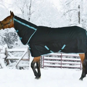 Horse Turnout Blanket - TuffRider Bonum 1200D Ripstop Heavy Weight 360 g Combo Neck Winter Blanket