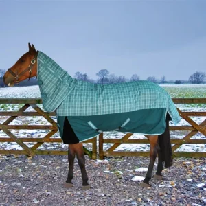 Horse Turnout Blanket - TuffRider Bonum 1200D Ripstop Medium Weight 220 g Combo Neck Winter Blanket